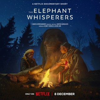مشاهدة فيلم The Elephant Whisperers 2022 مترجم مشاهدة فيلم The Elephant Whisperers 2022 مترجم