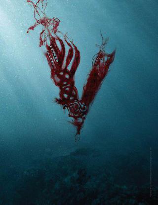 vikings مسلسل فايكنجز - الموسم 2 Vikings مسلسل